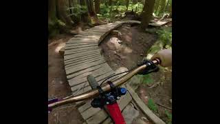 They call this the Millenium Log because it...