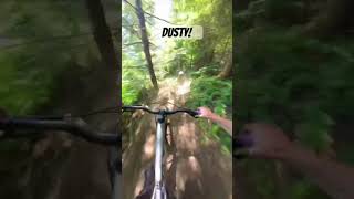 What a fun trail!