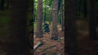 Raw Flow! #mtb #bicycle #mountainbike #forest...
