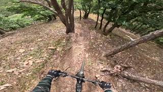 Trail Lower Flak