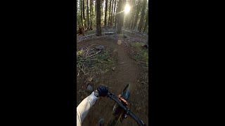 Rye Spur Trail Full Descent