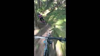 Lower Dungeness / Gold Creek