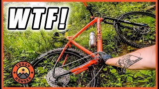 Come with me on an Adventure / Nightmare Ride!