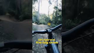 This trail is magic #gopromtb #mountainbiking...