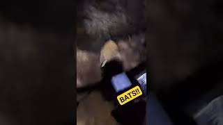 Bats! Underground Mountain Biking #mountainbike