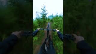High Speed Singletrack! Summer Rain!  #mtb...