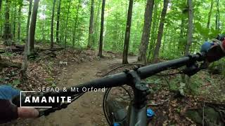 Amanite - Going down