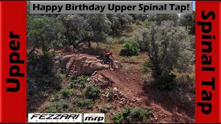 Upper Spinal Tap is One Year Old & Riding...