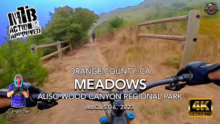 MTB Riding Meadows, Aliso Wood Canyons, August...