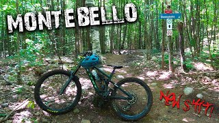 VELO MONTEBELLO 2023//MONTEBELLO QC//Checking...