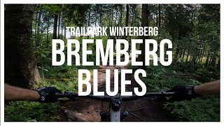 This is a FAST but easy natural trail at...