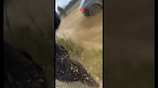 Bro got roosted by a Tesla 