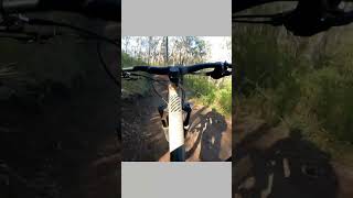 Flow trails are so good #mtb #shorts