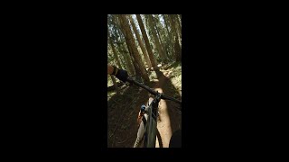 Brown Mountain DH