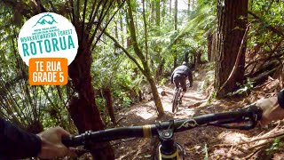Silky smooth tech - Te Rua, Rotorua,...