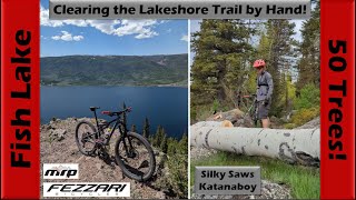 Clearing 50 Trees off Fish Lake's Lakeshore...