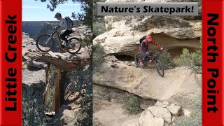 Nature's Skatepark on Little Creek's North...