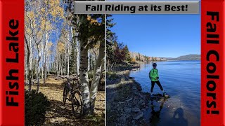 Last Fall Colors on Fish Lake's Lakeshore...