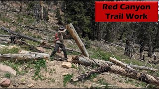 Clearing Trees & Trail Work in Red Canyon!