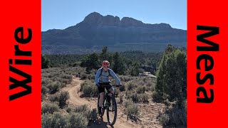 Wire Mesa: Gooseberry's Little Brother!