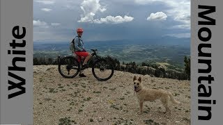 High Alpine OHV Trails on White Mountain
