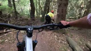 Massif du Lizieux La pelle de la forêt piste...