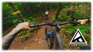 Forbidden Druid dans la Vietnam (review in...