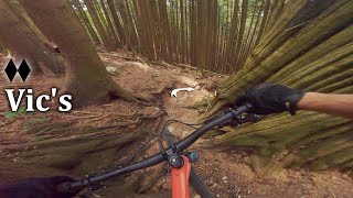 The Fastest Way Down is Vertical | Vic's -...