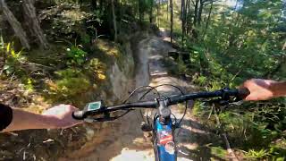 Skedaddle @ Kaiteriteri MTB Park.