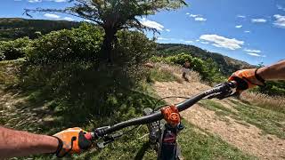 Mountain Biking @ Arapuke Forest