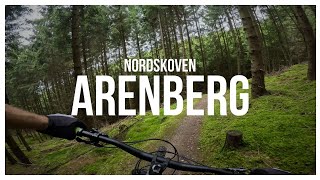 This short trail in Denmark is FAST! Arenberg...