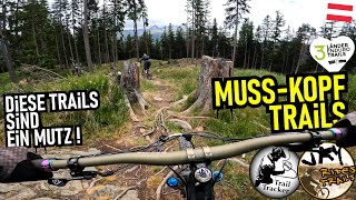3-LÄNDER ENDURO TRAILS Mutzkopf: Elven,...