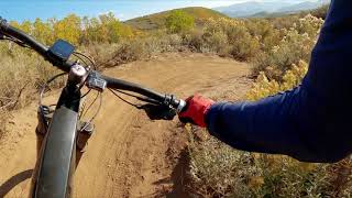 Dutch Hollow: The Barrel Fall Colors 2021