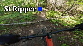 St Ripper - Gillard