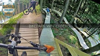 WINTERBERG BIKEPARK LAPS 2018 - 2 days...