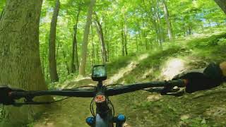 MTB Ride at Bailey's Trail System (Athens,...