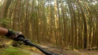 The Gate - Tsuga - Snakes and Ladders