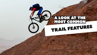 The Most Common Trail Features in Mountain Biking
