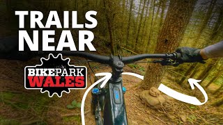 RIDING MTB TRAILS NEAR BIKEPARK WALES