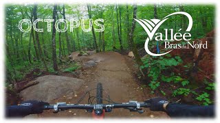 *Nouvelle Piste* La Flowtrail la plus...