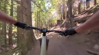 Raging River: Physical Therapy (This trail is...