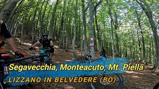 Segavecchia, Monteacuto delle Alpi, Mt. Piella
