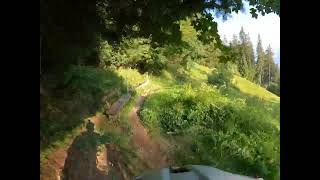 Hasliberg - Balisalp - Bannwäldli trail