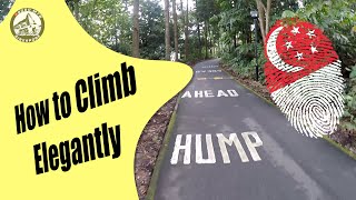 How to End Chestnut on a High |