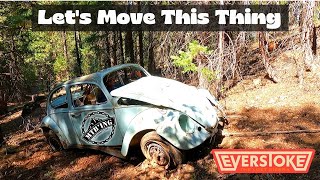 Rescued Volkswagen Bug -  Mountain Bike...