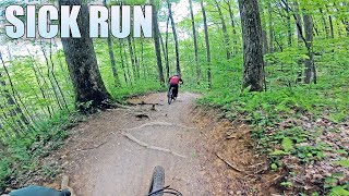 Bennett Gap //  Pisgah National Forest NC