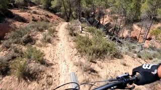 Maño Mío Caltayud Sierra Armanetes