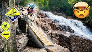 The MOST UNIQUE TRAIL I've ever mountain...