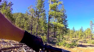 Panorama Trail #635