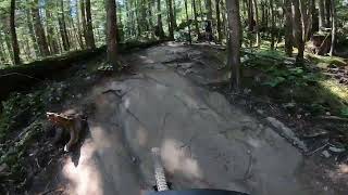 Rupert (part 2) Squamish, BC Alice Lake 7/1/23